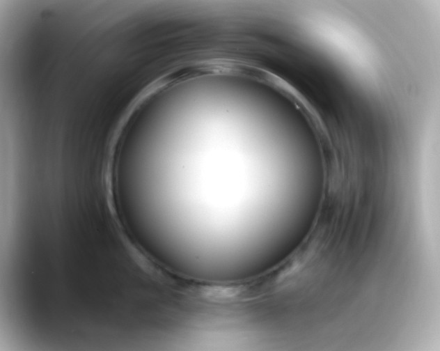 X0000088460861200706051323