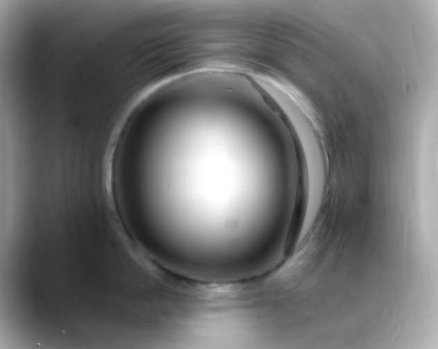 X0000088460862200706051323