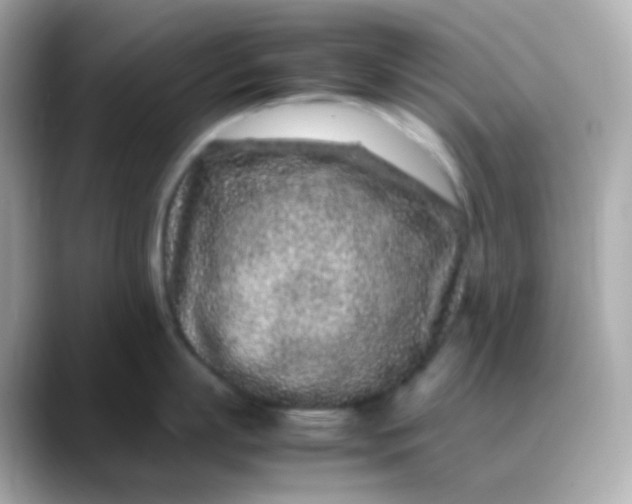 X0000088460863200706051323