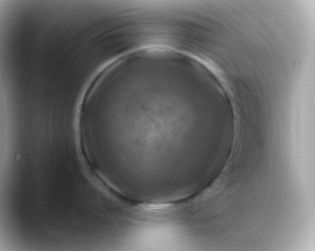 X0000088460864200706051323