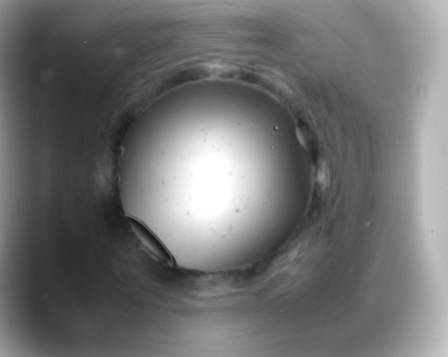 X0000088460867200706051322