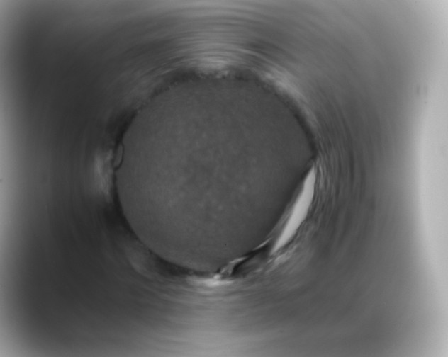 X0000088460868200706051322