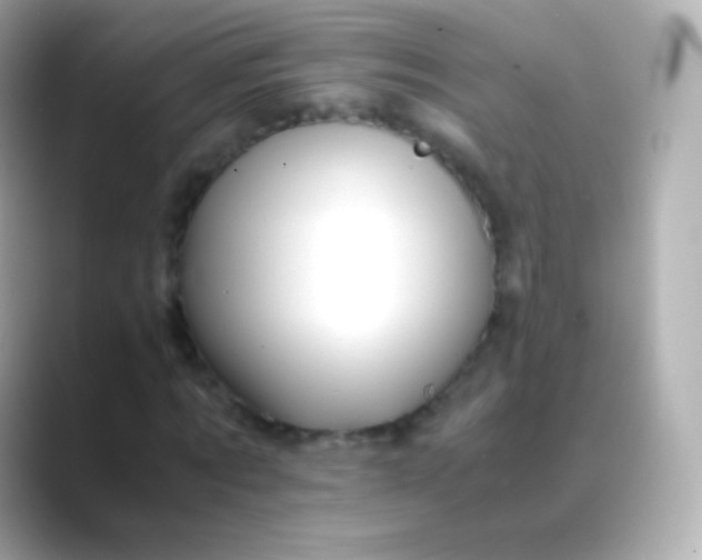 X0000088460869200706051322