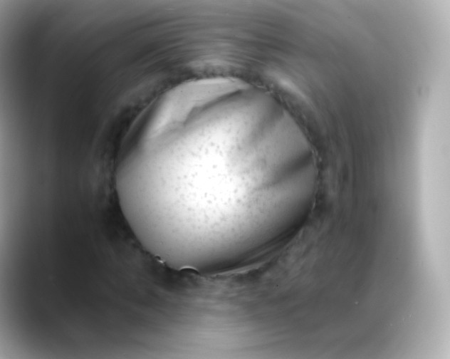 X0000088460870200706051322