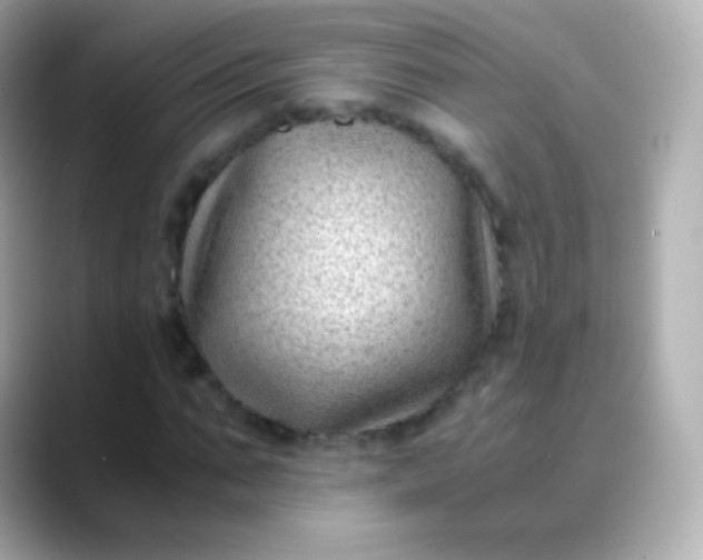 X0000088460871200706051322