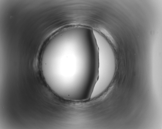 X0000088460876200706051322