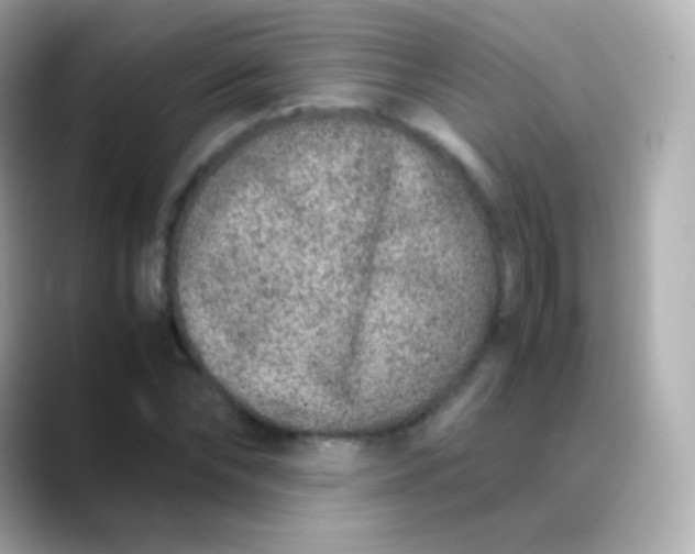 X0000088460878200706051322