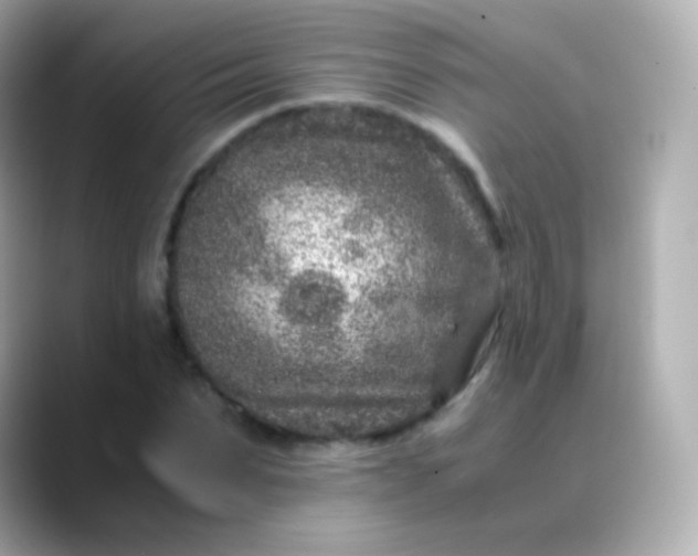 X0000088460879200706051322