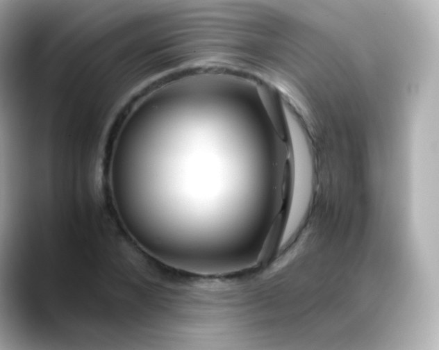 X0000088460880200706051322