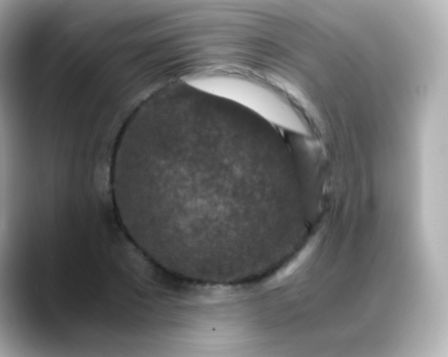 X0000088460881200706051322