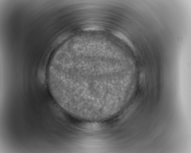 X0000088460882200706051322