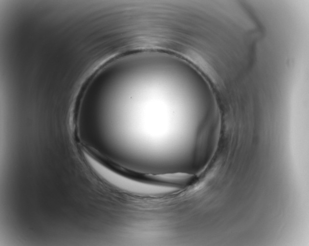 X0000088460885200706051322