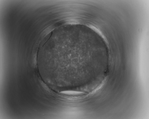 X0000088460889200706051322