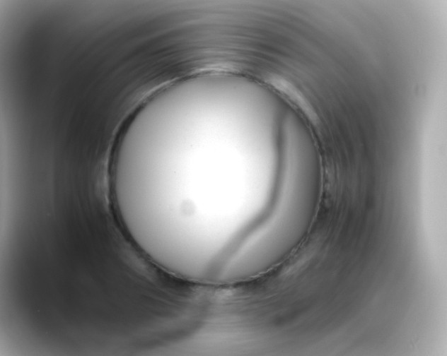 X0000088460890200706051322