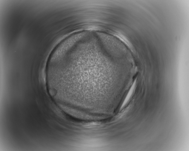 X0000088460891200706051322