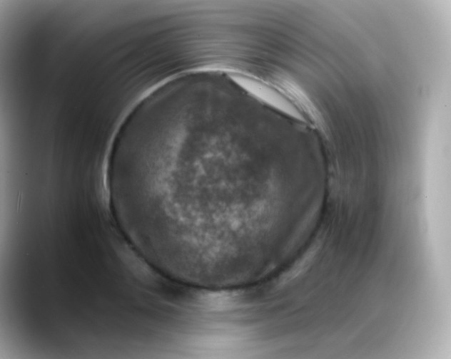 X0000088460892200706051322