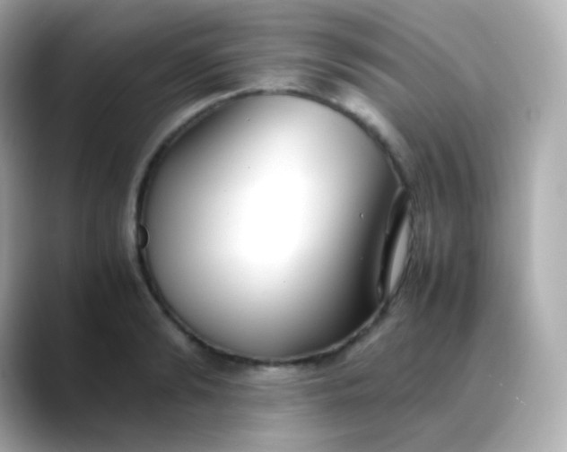 X0000088460894200706051322