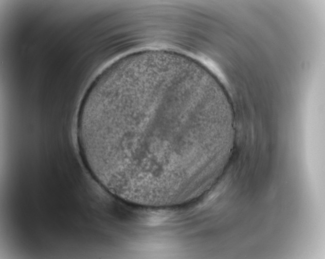 X0000088460895200706051322