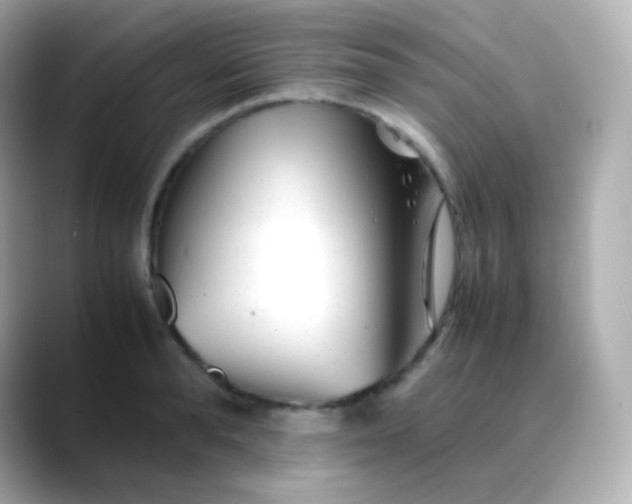 X0000088460896200706051322