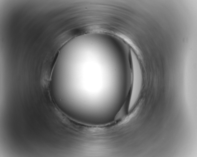 X0000088460897200706051322