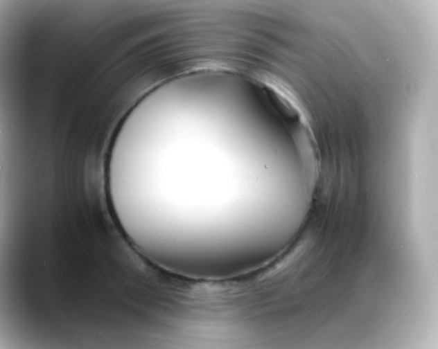 X0000088460898200706051322