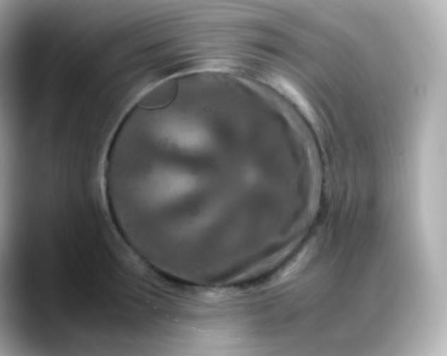 X0000088460899200706051322