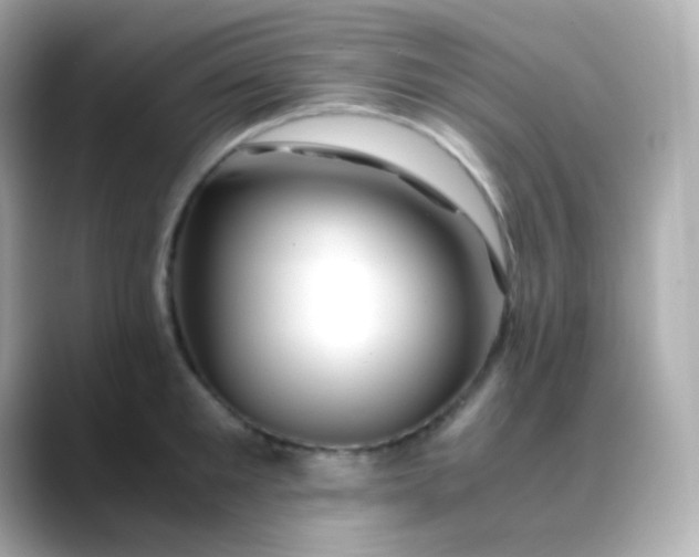 X0000088460901200706051322