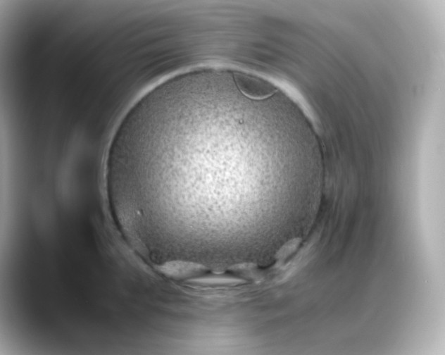 X0000088460903200706051322