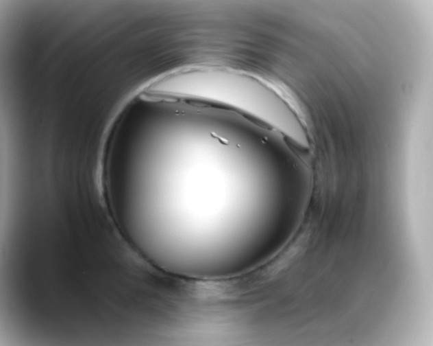 X0000088460904200706051322