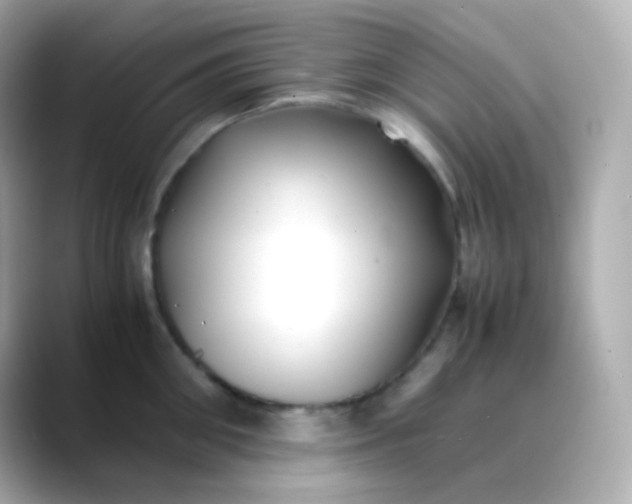 X0000088460906200706051322