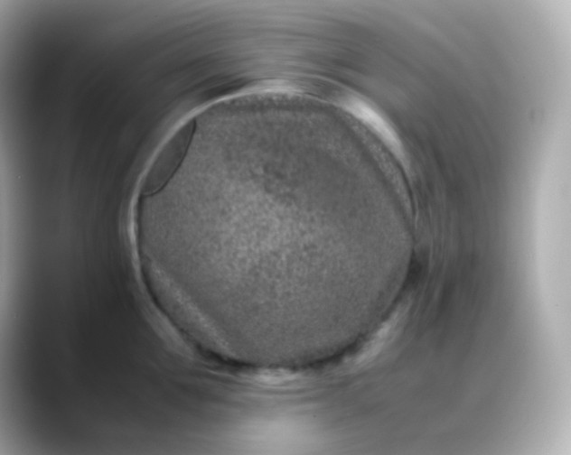 X0000088460907200706051322