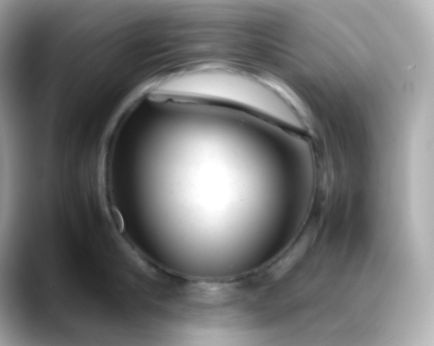 X0000088460910200706051322