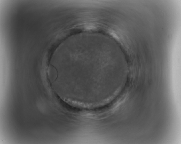 X0000088460913200706051321