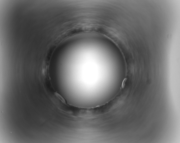 X0000088460914200706051321