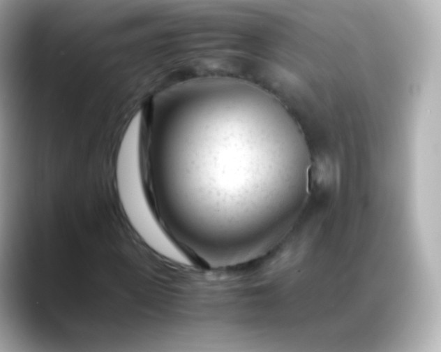 X0000088460915200706051321