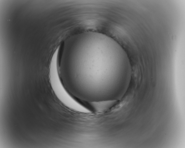 X0000088460916200706051321