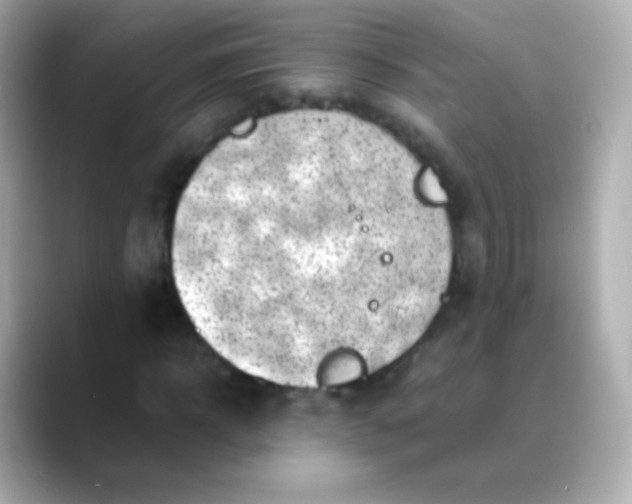 X0000088460918200706051321