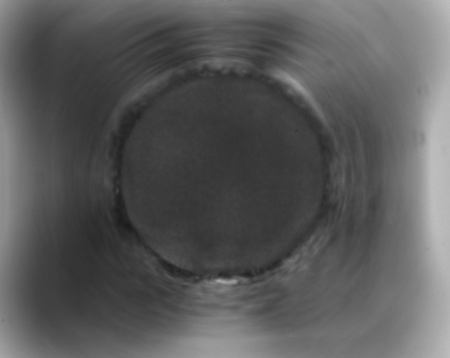 X0000088460919200706051321