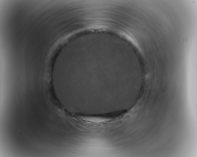 X0000088460920200706051321