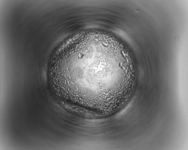 X0000088460921200706051321