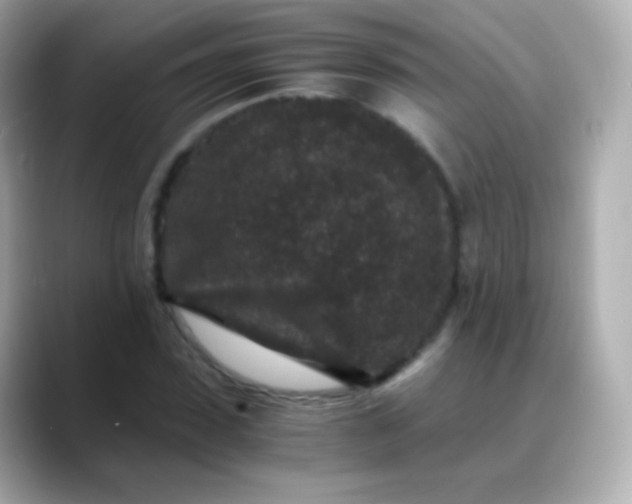 X0000088460923200706051321