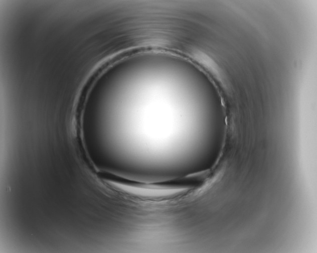 X0000088460924200706051321