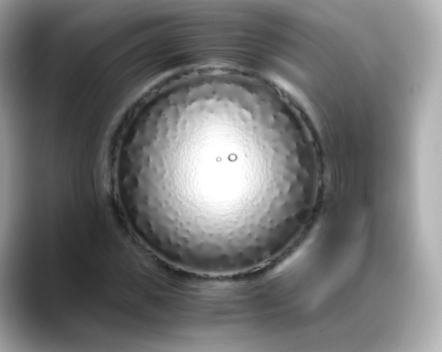 X0000088460925200706051321