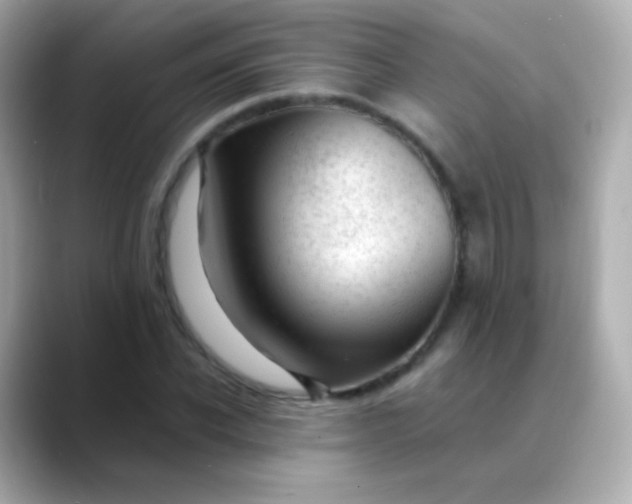 X0000088460926200706051321