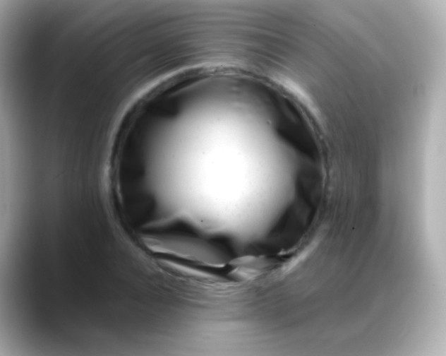 X0000088460928200706051321