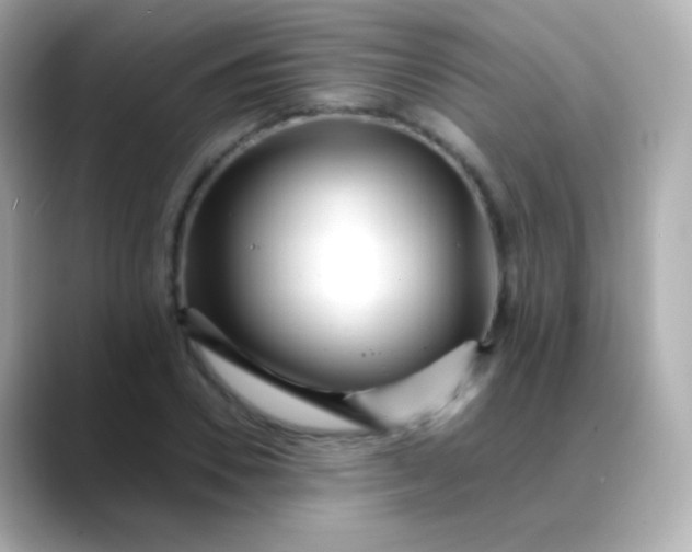 X0000088460930200706051321