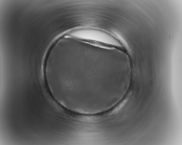 X0000088460932200706051321