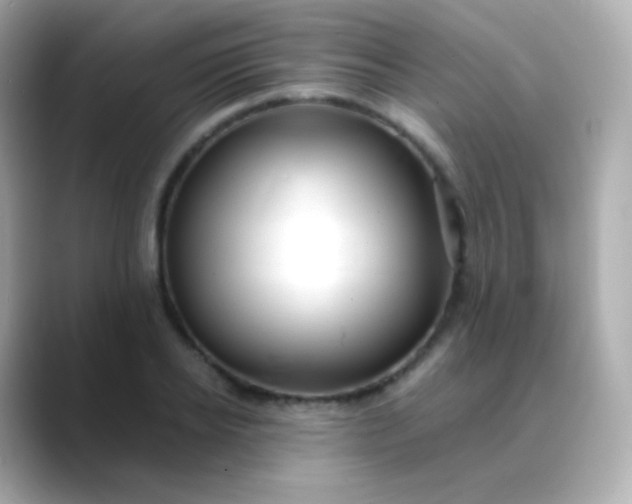 X0000088460934200706051321