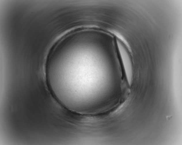 X0000088460935200706051321