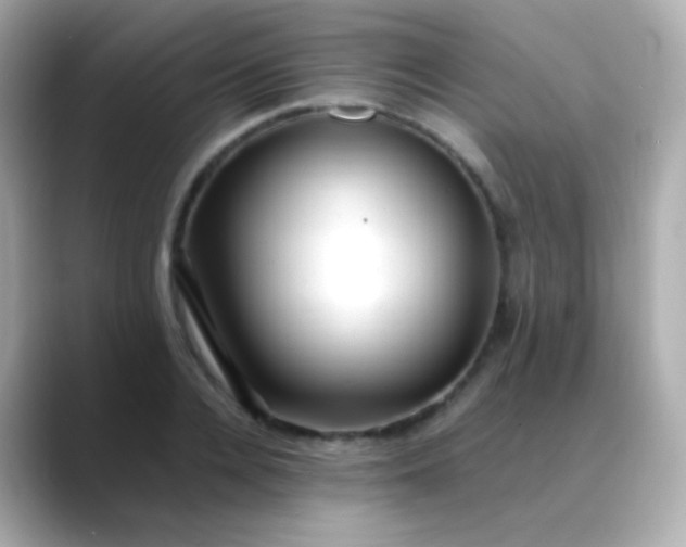 X0000088460936200706051322